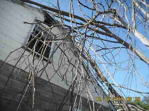 19585 Annott (7)_m.jpg